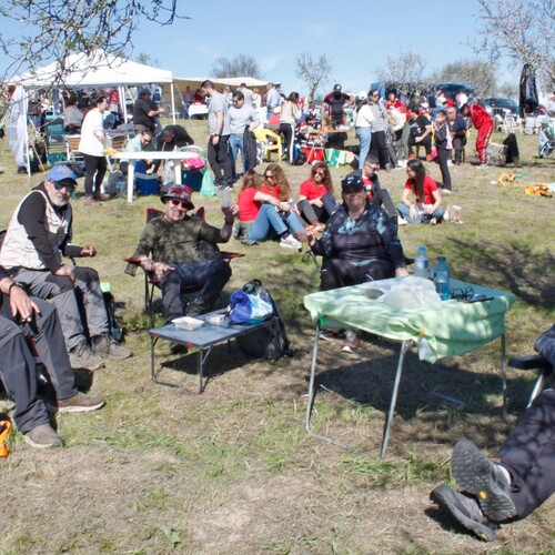 Almendro en flor 2026 (42)